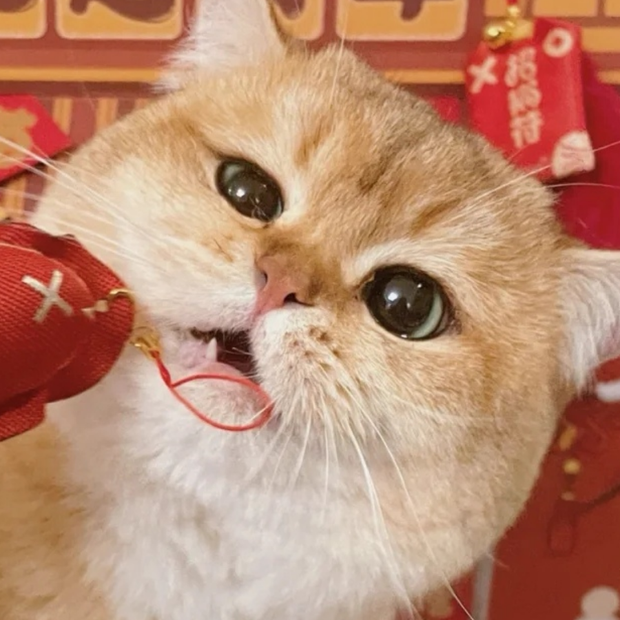 南下