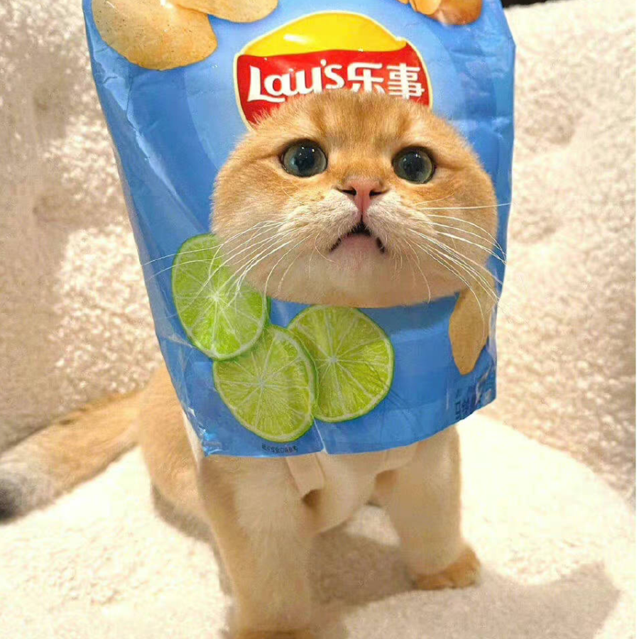 源兽今天加保底了吗？