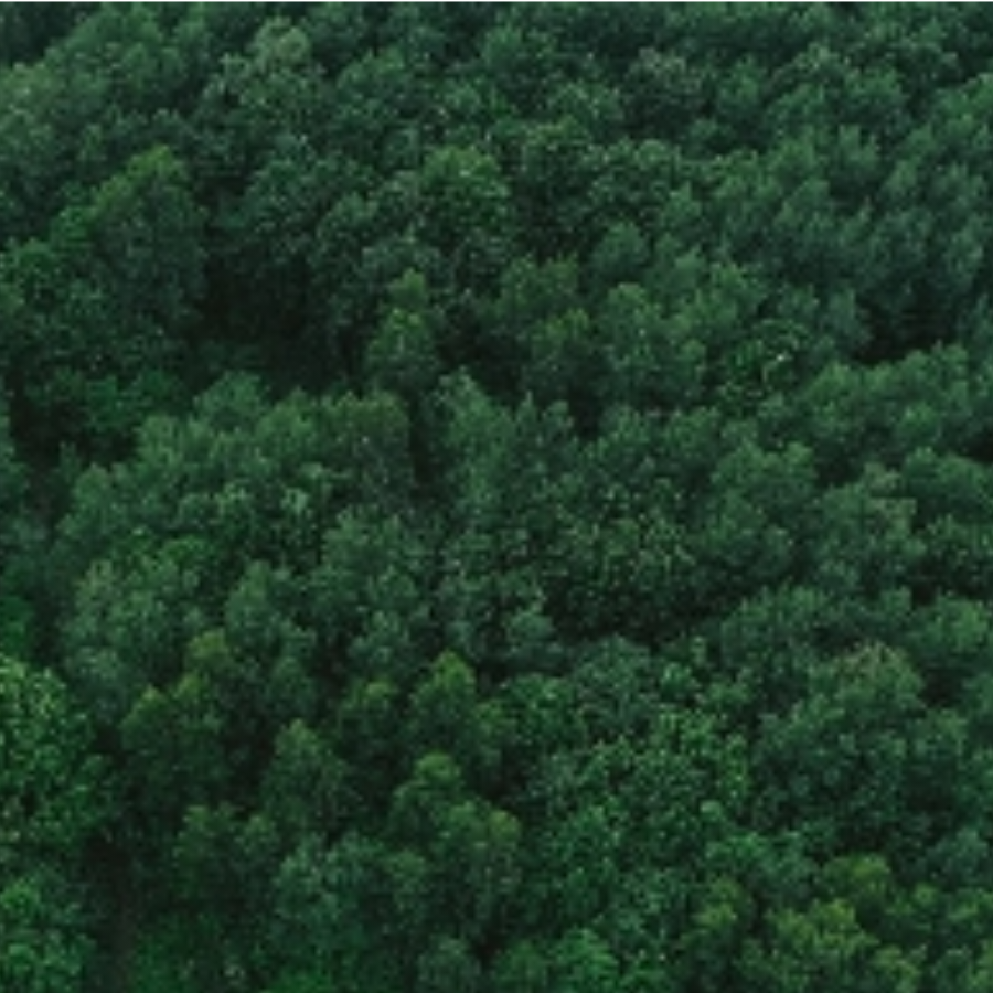 山阴