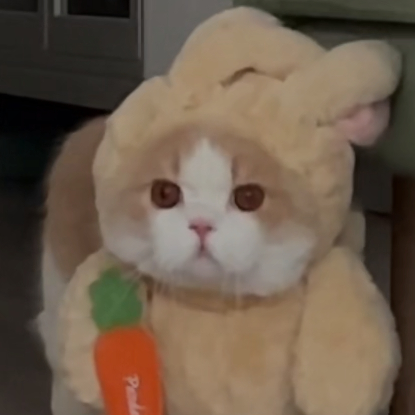 Jomicute