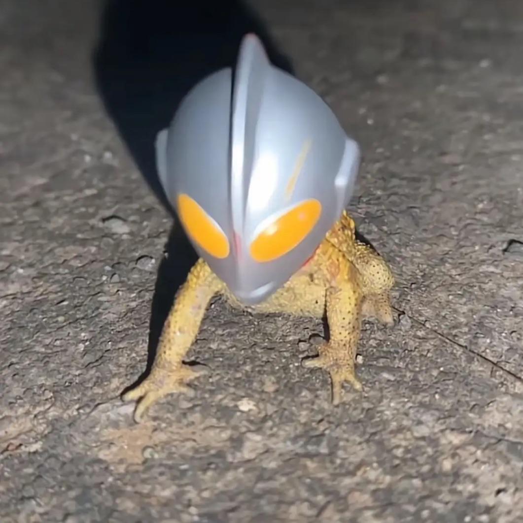 失乡