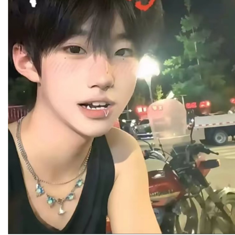青春草原的猪霸天