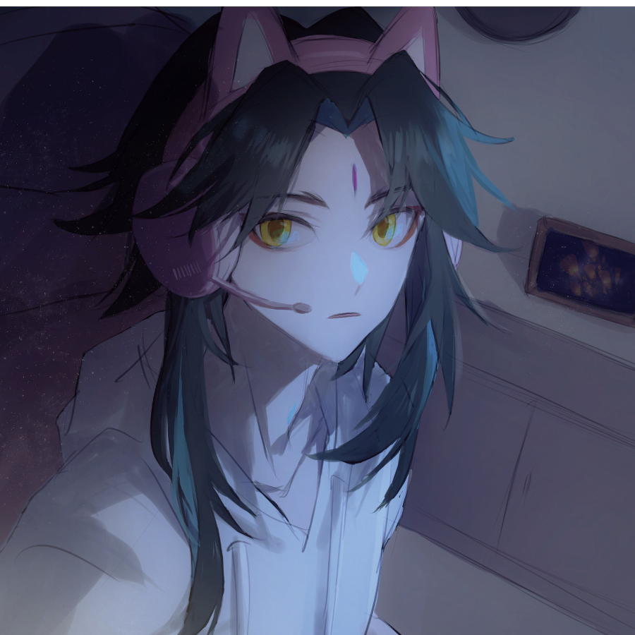 要一只魈鸟