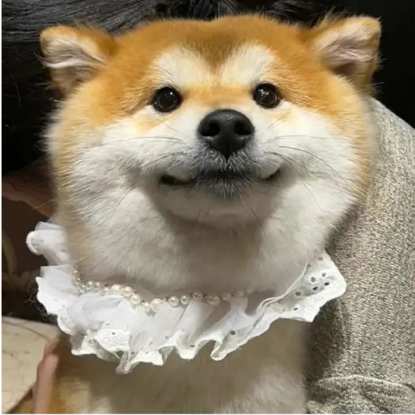 异世界的小学生
