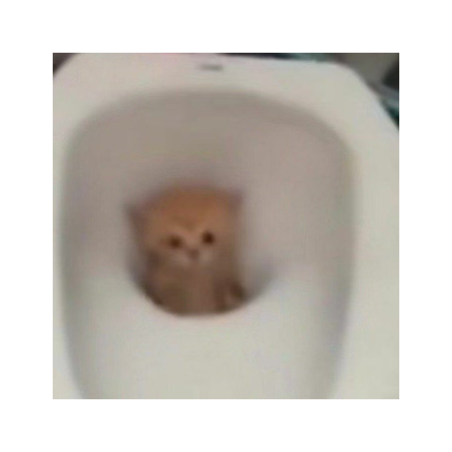到底什么时候下课