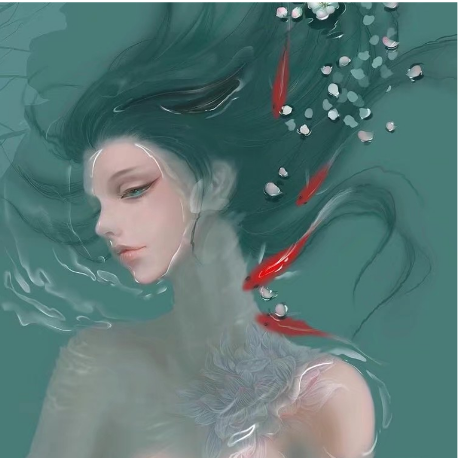 锦鲤