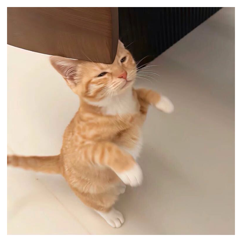 小婷