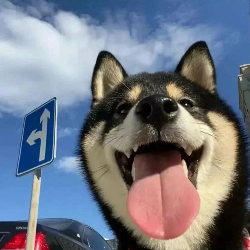 🇼