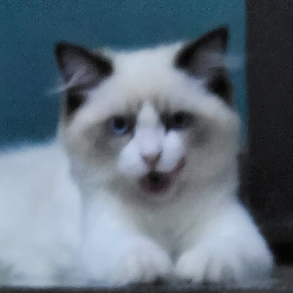 冬雨