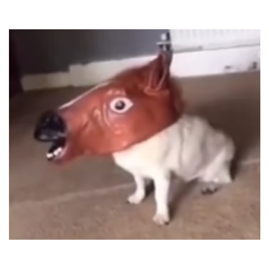 达·狒奇