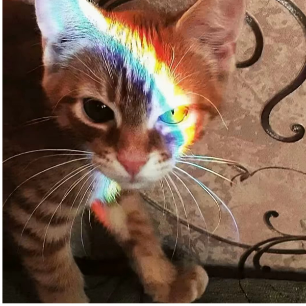 a俊