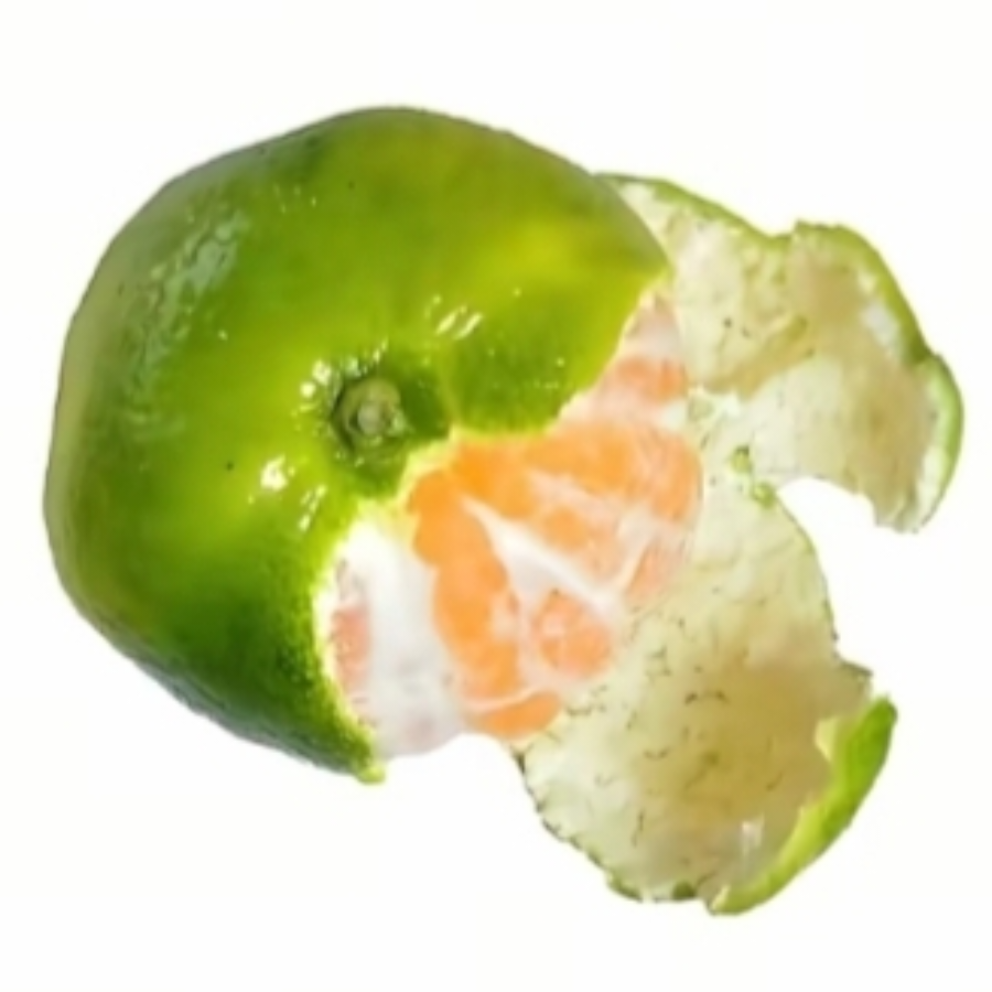 市里