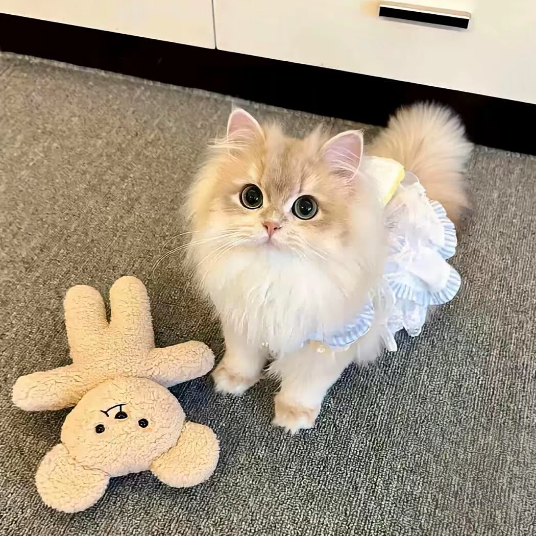 。。。