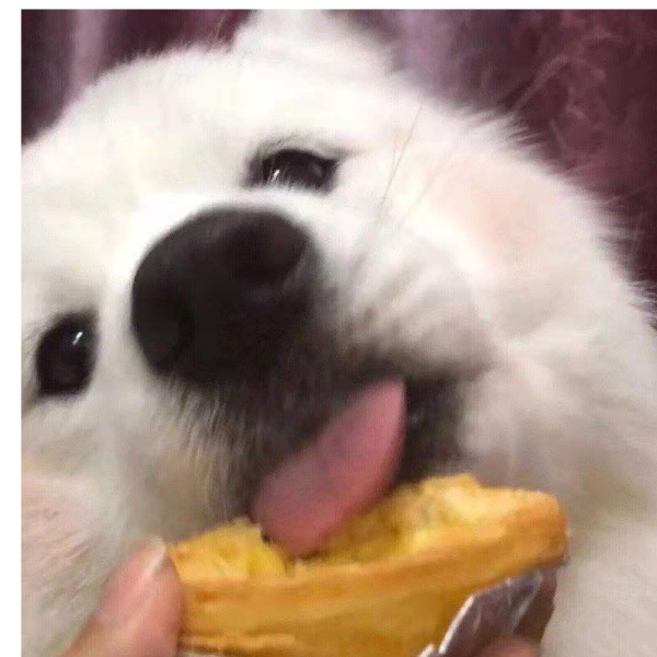 羊羊