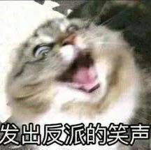 绝望的莱卡