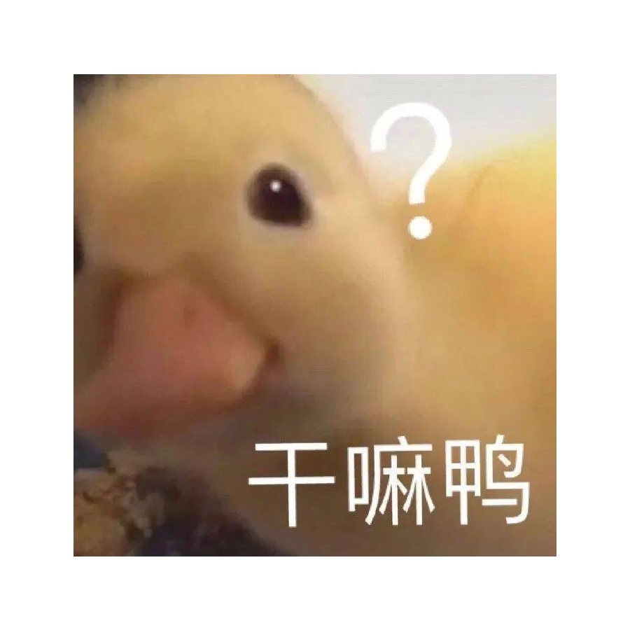 干嘛鸭
