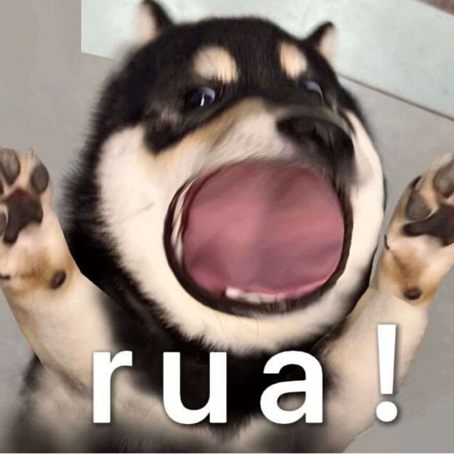 孤独的双子
