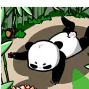 请叫我熊猫