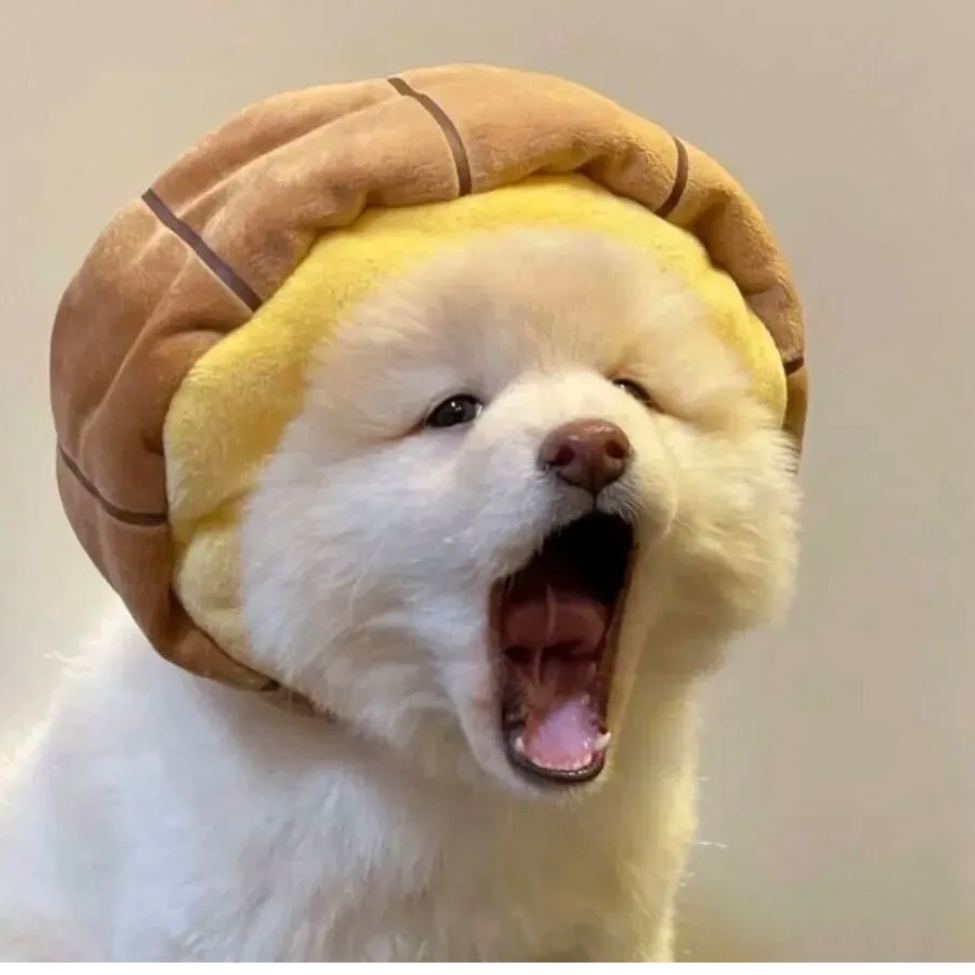 鹿回头c