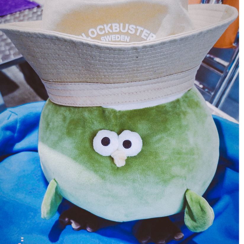 我们都叫墩墩鸡