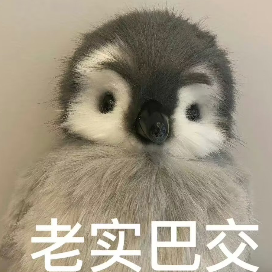 拾月贰号