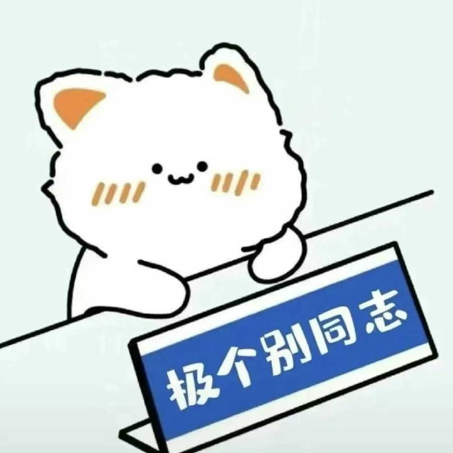 热心市民何同学