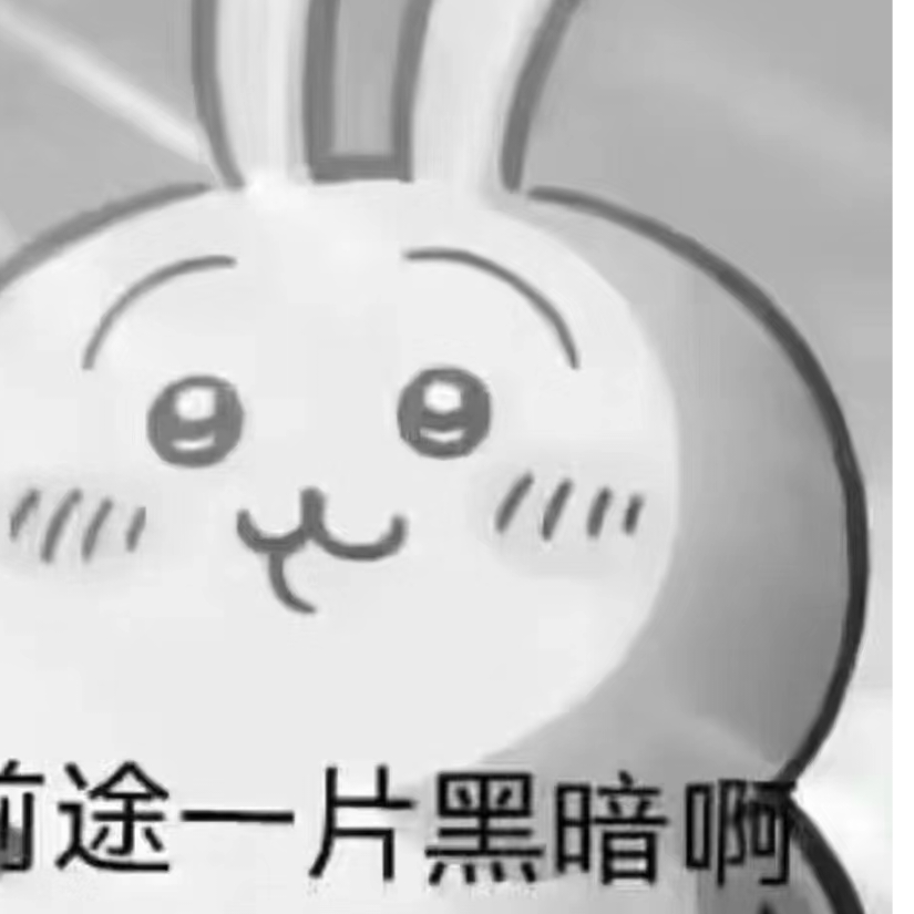 差不多是只废喵了🐾