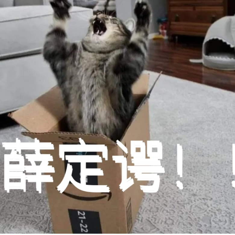 我从盒子里出来了喵！