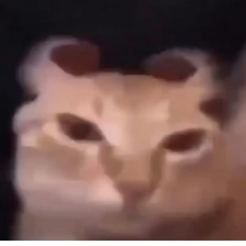 南瓜