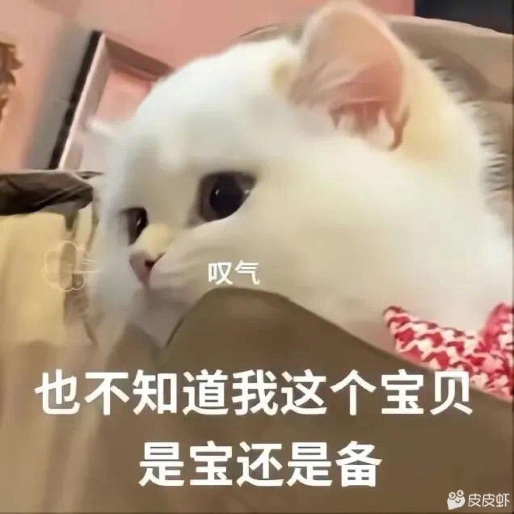 一个喜欢低调的小萌新