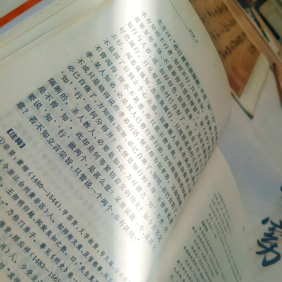 毕波罗