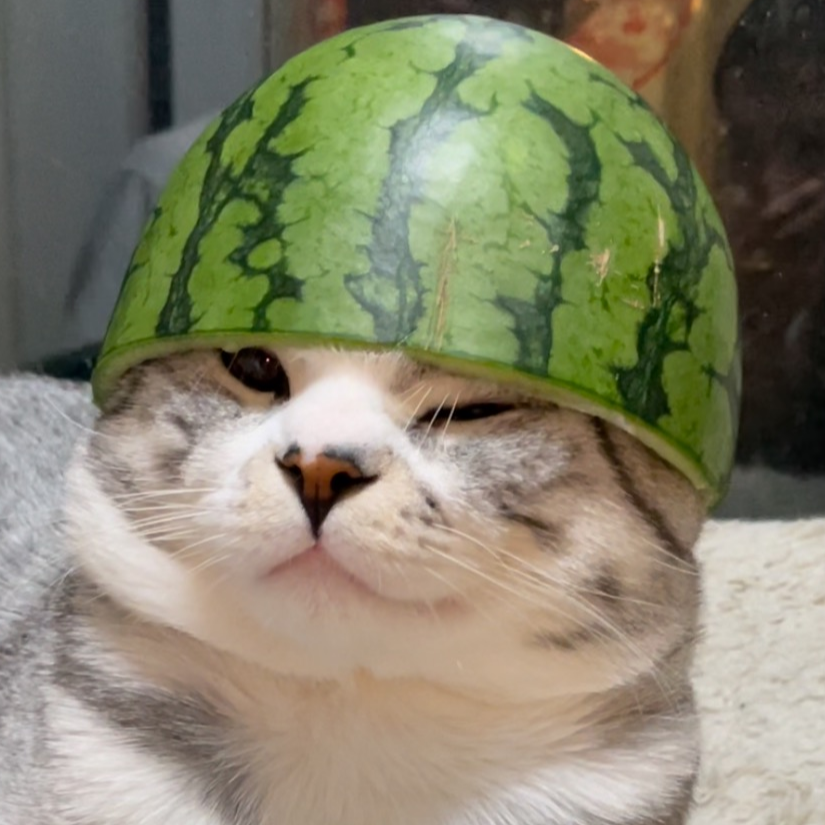 谜城