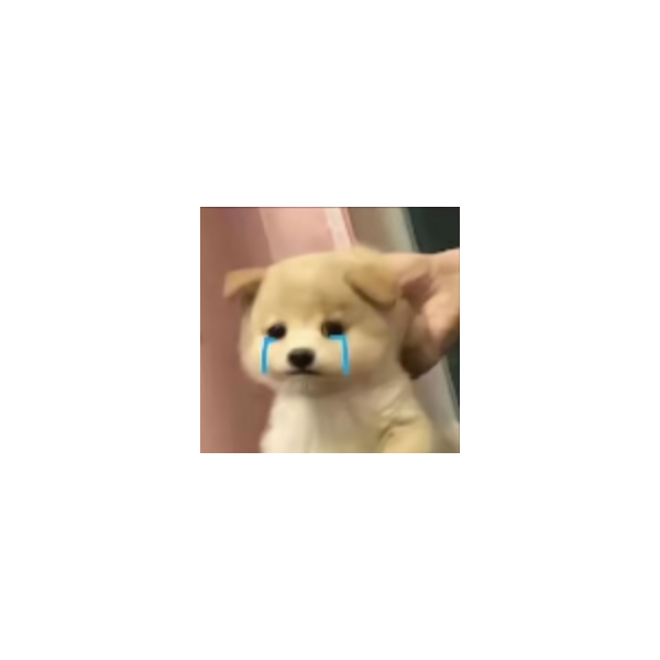 仙亿