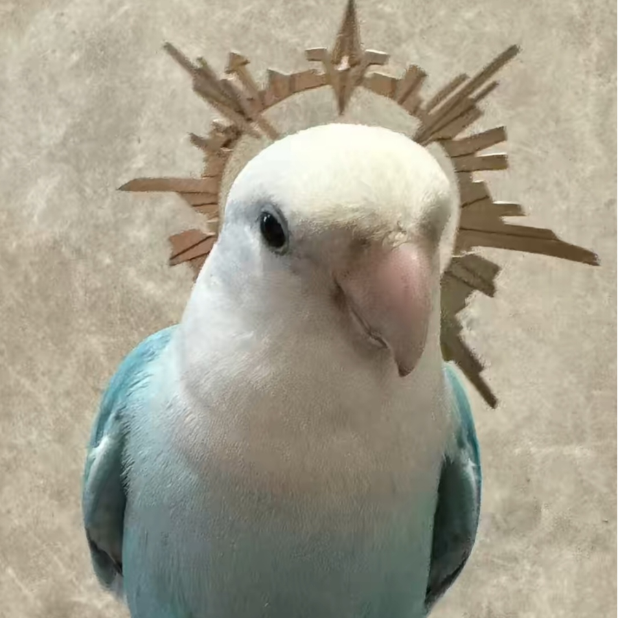 Aki