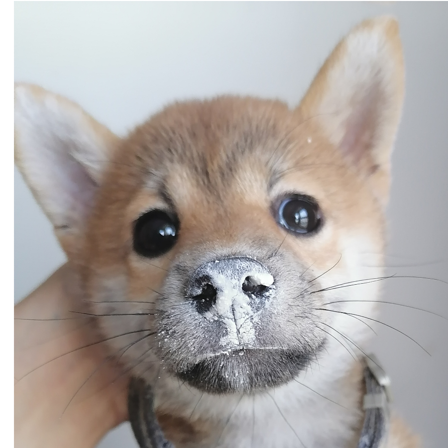 阿桥