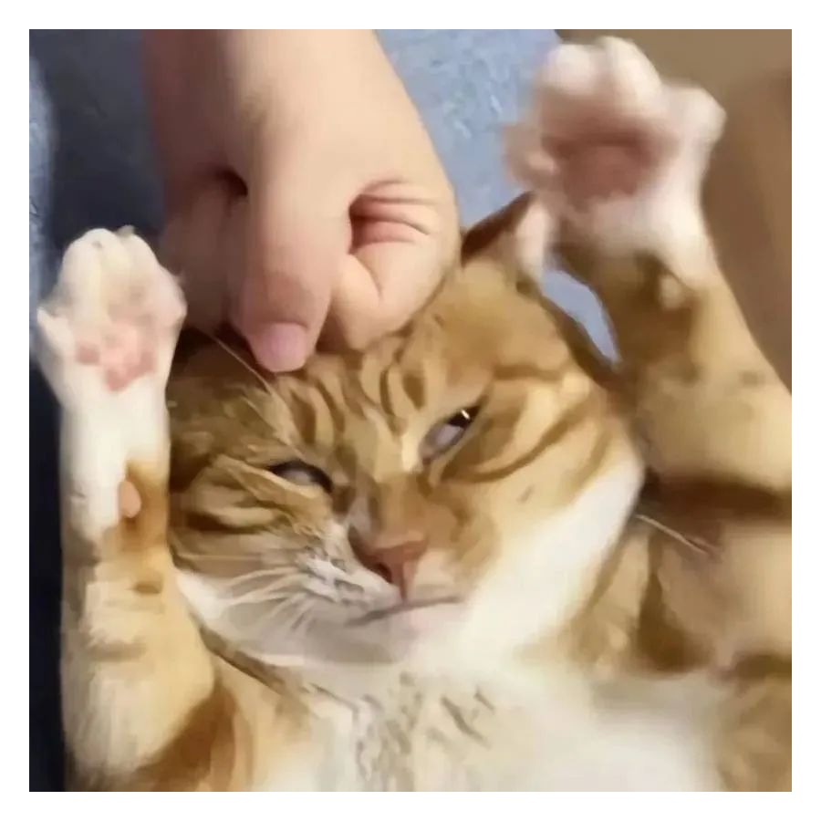 烟弥