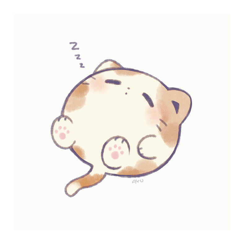 橘外人