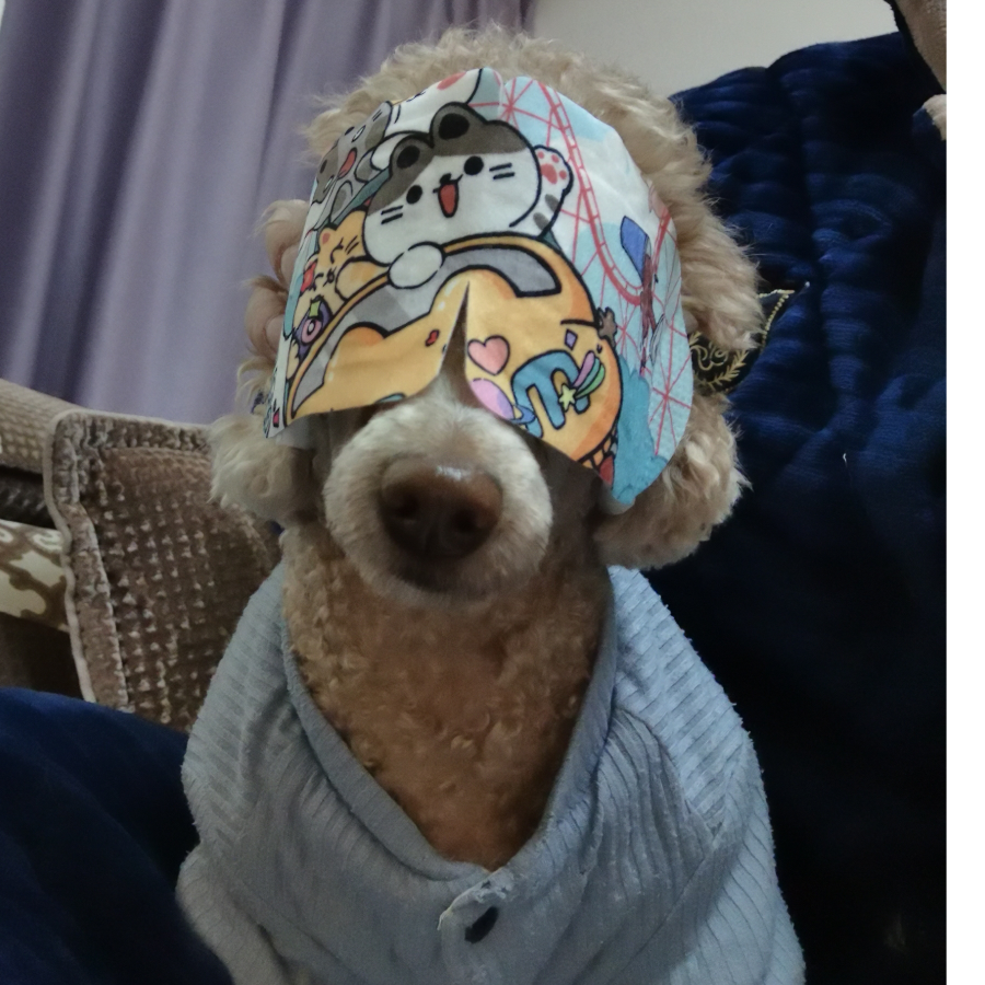 七木
