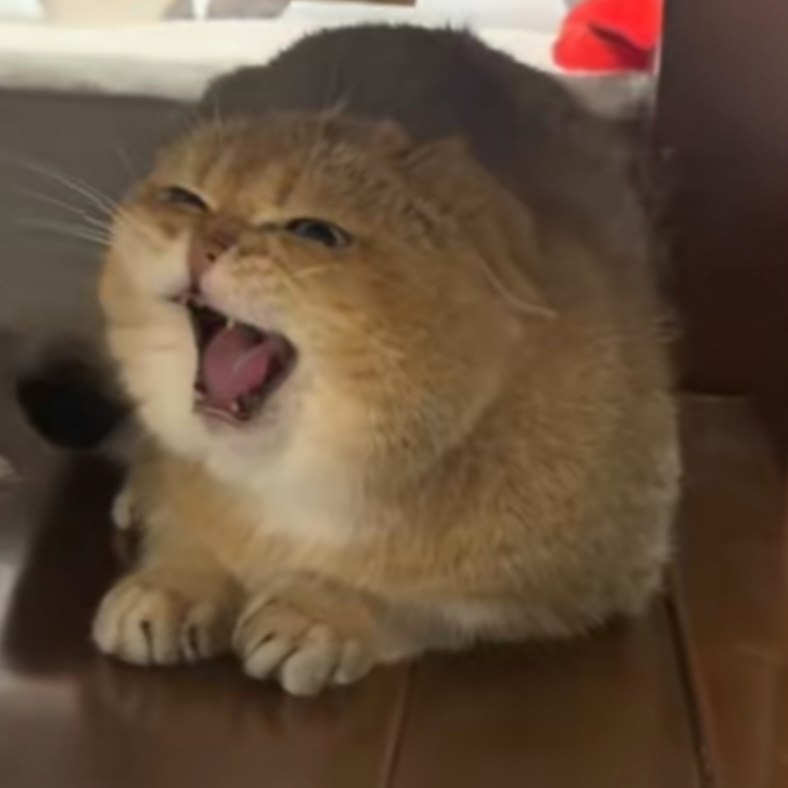指尖的黑键