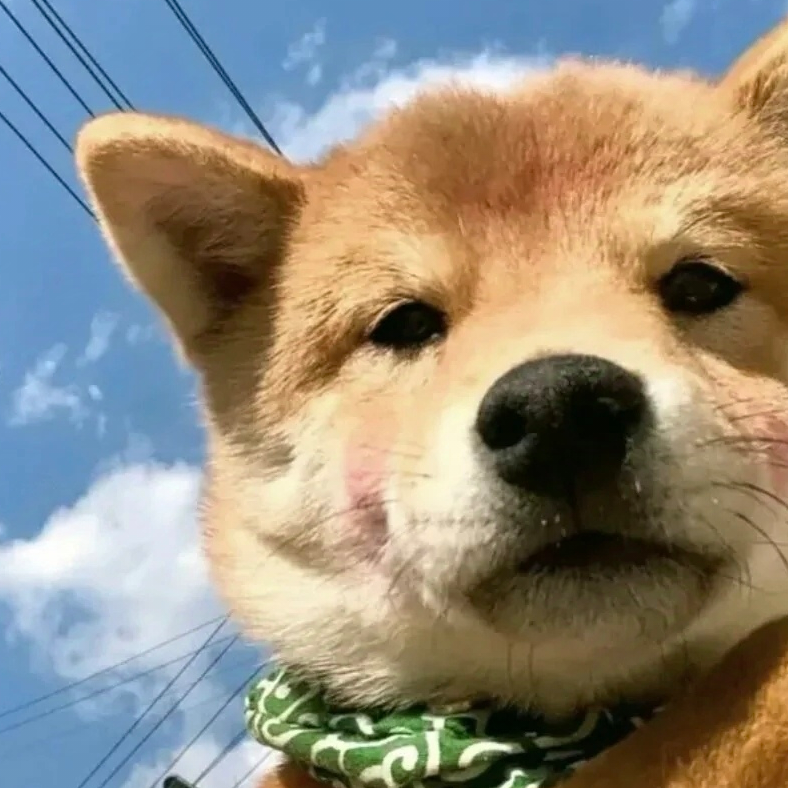 伸手摘星辰