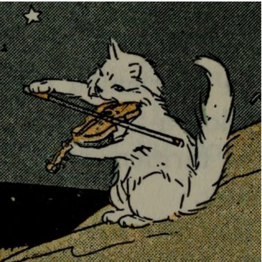 拉琴的猫