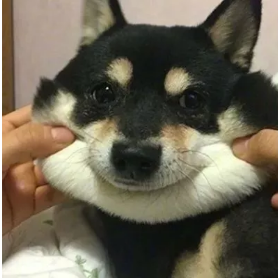 南胖三叔