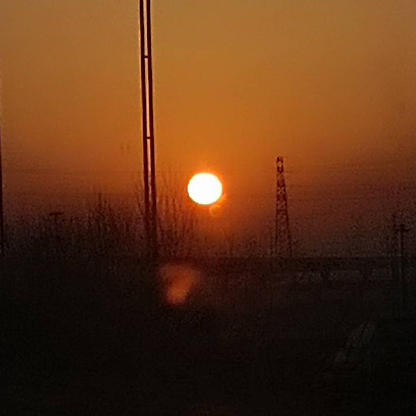 花自向你开