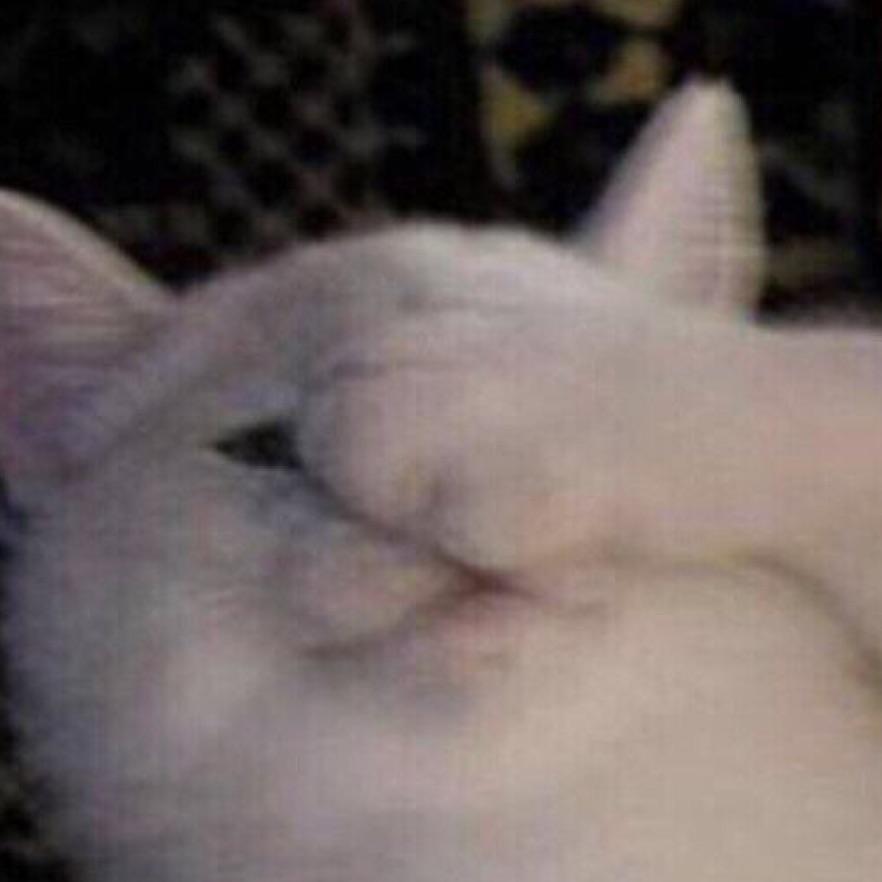 我烦的要死