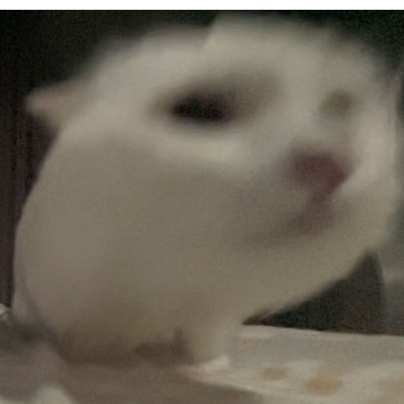 烧饼taptap