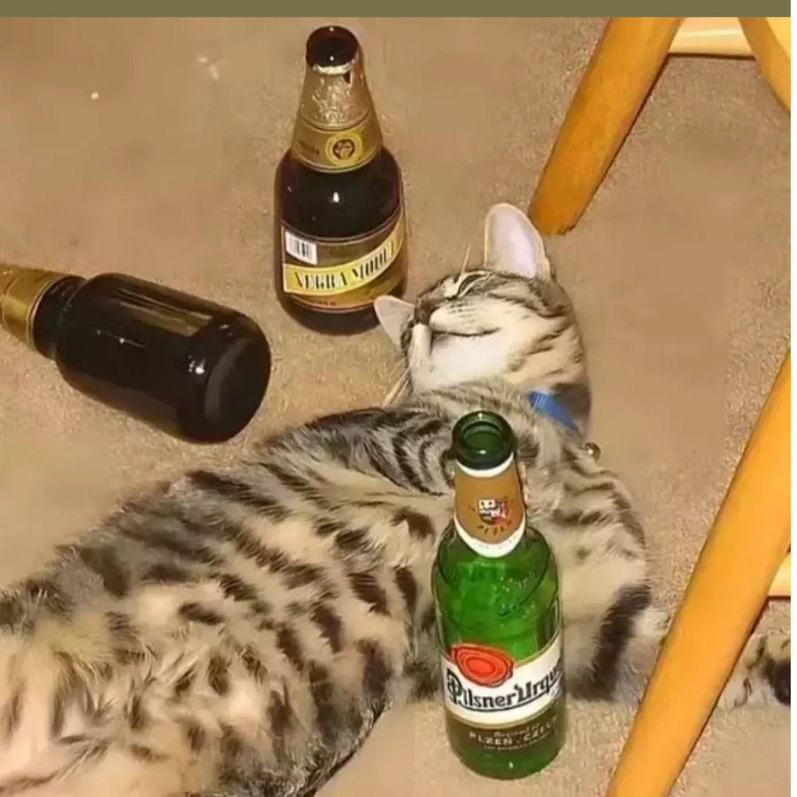 暗夜
