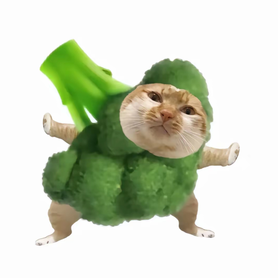 鹭忱.-
