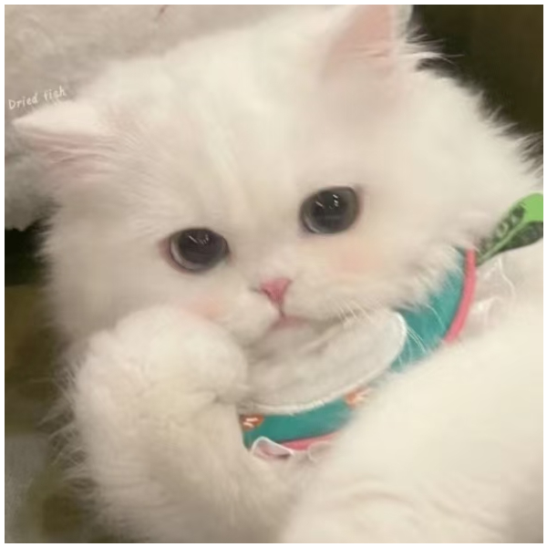 日暮里