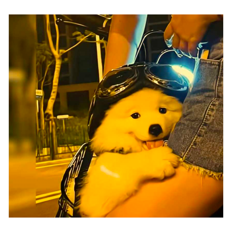 祤朹