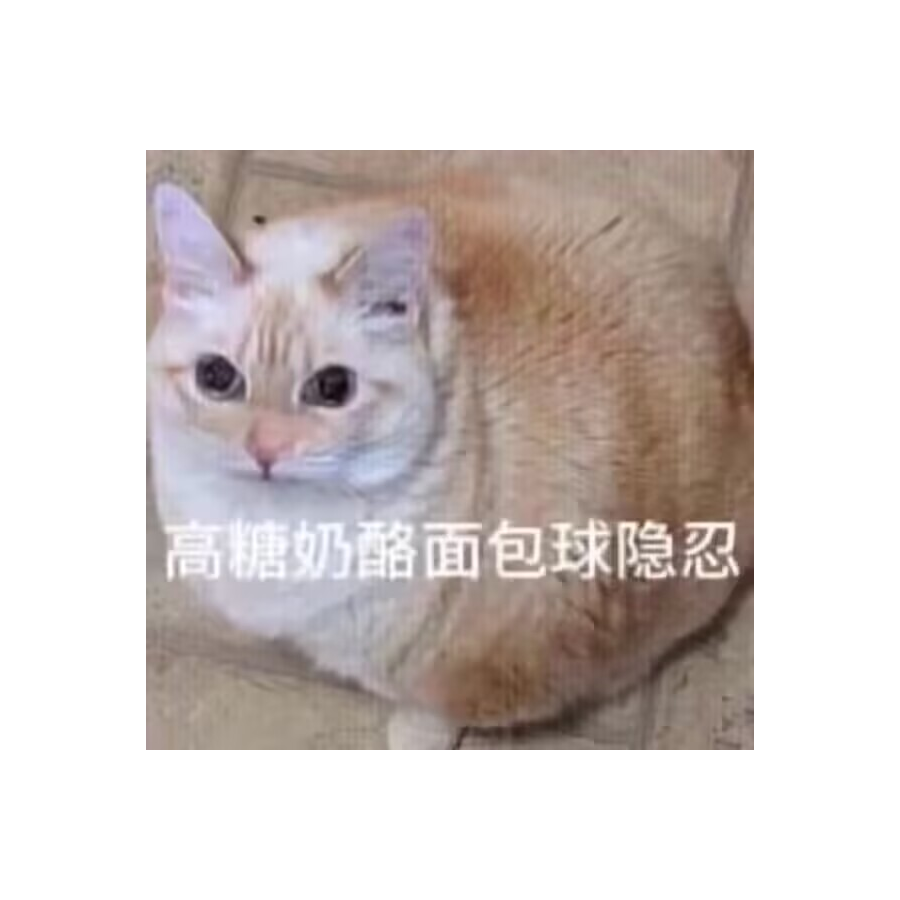 道炁长存